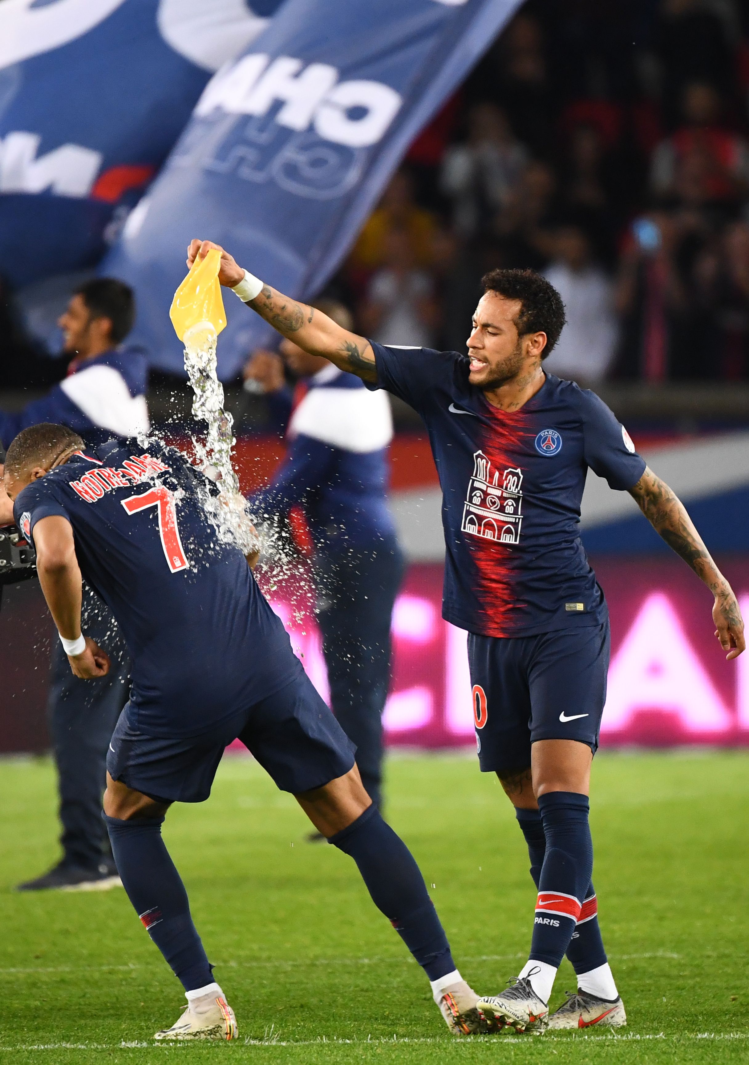 陶德称《上古卷轴6》比上古卷轴5有更多的树